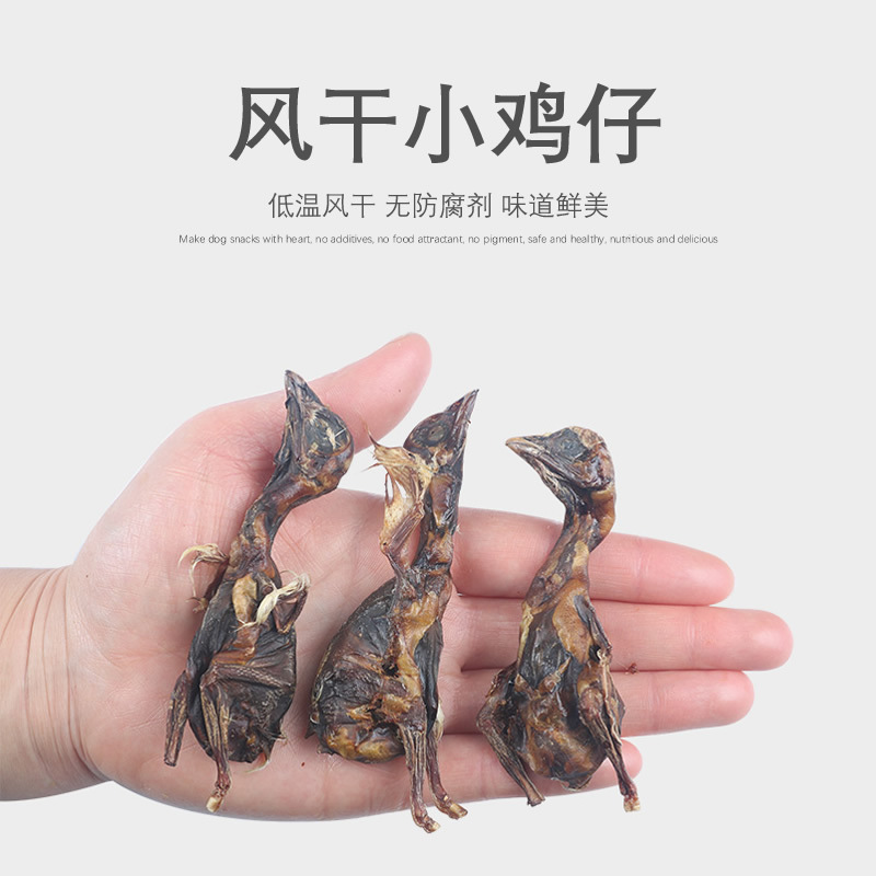 南昌秋田寵物有限公司