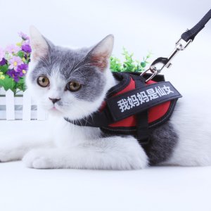 貓咪牽引繩小型犬貼牌OEM/ODM