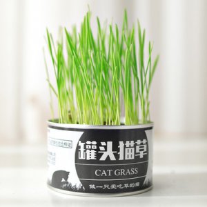 義烏市宸瑜工藝品有限公司