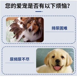 山東奧奈生物醫(yī)藥有限公司