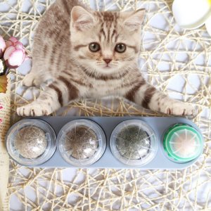 義烏市艾希寵物用品有限公司