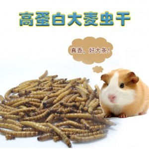 湖南省螯洲農業(yè)科技有限公司
