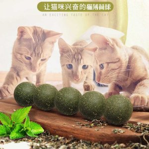 趙縣銳拓電子商務有限公司