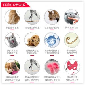 廣州市漳春寵物食品有限公司