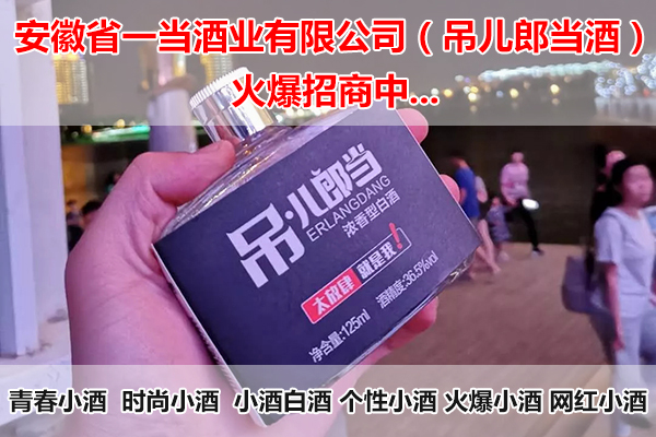 安徽省一當(dāng)酒業(yè)有限公司2.jpg
