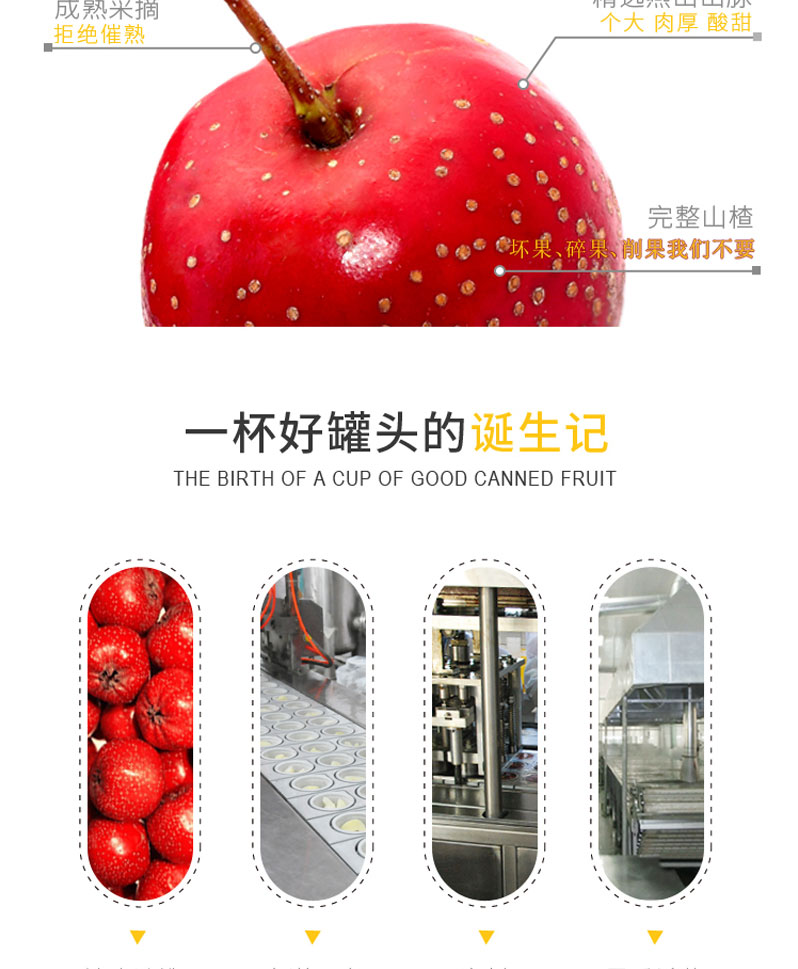 栗源多果多滋238g山楂罐頭簡(jiǎn)介_(kāi)08.jpg