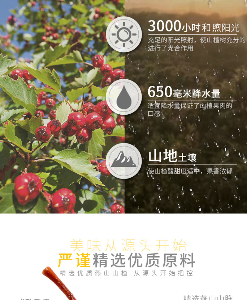 栗源多果多滋238g山楂罐頭簡(jiǎn)介_(kāi)07.jpg