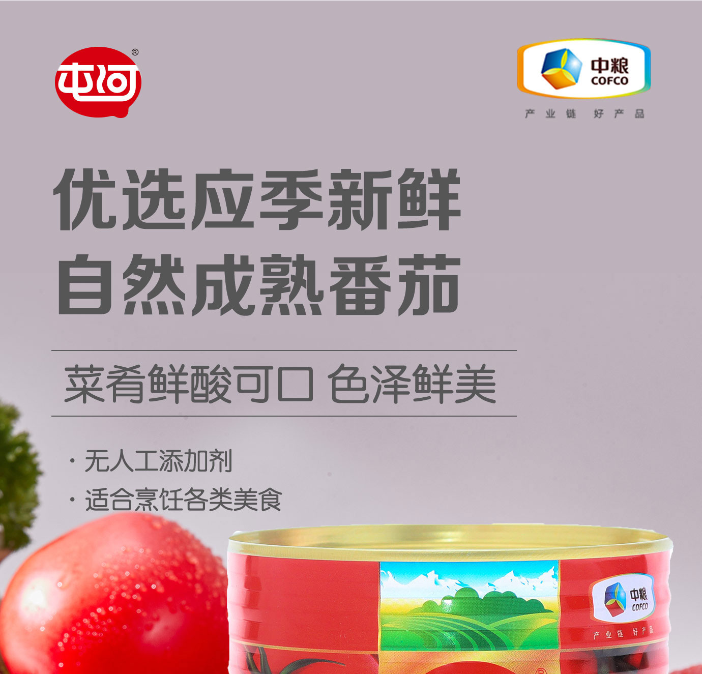直灌番茄醬850g簡(jiǎn)介_01.jpg