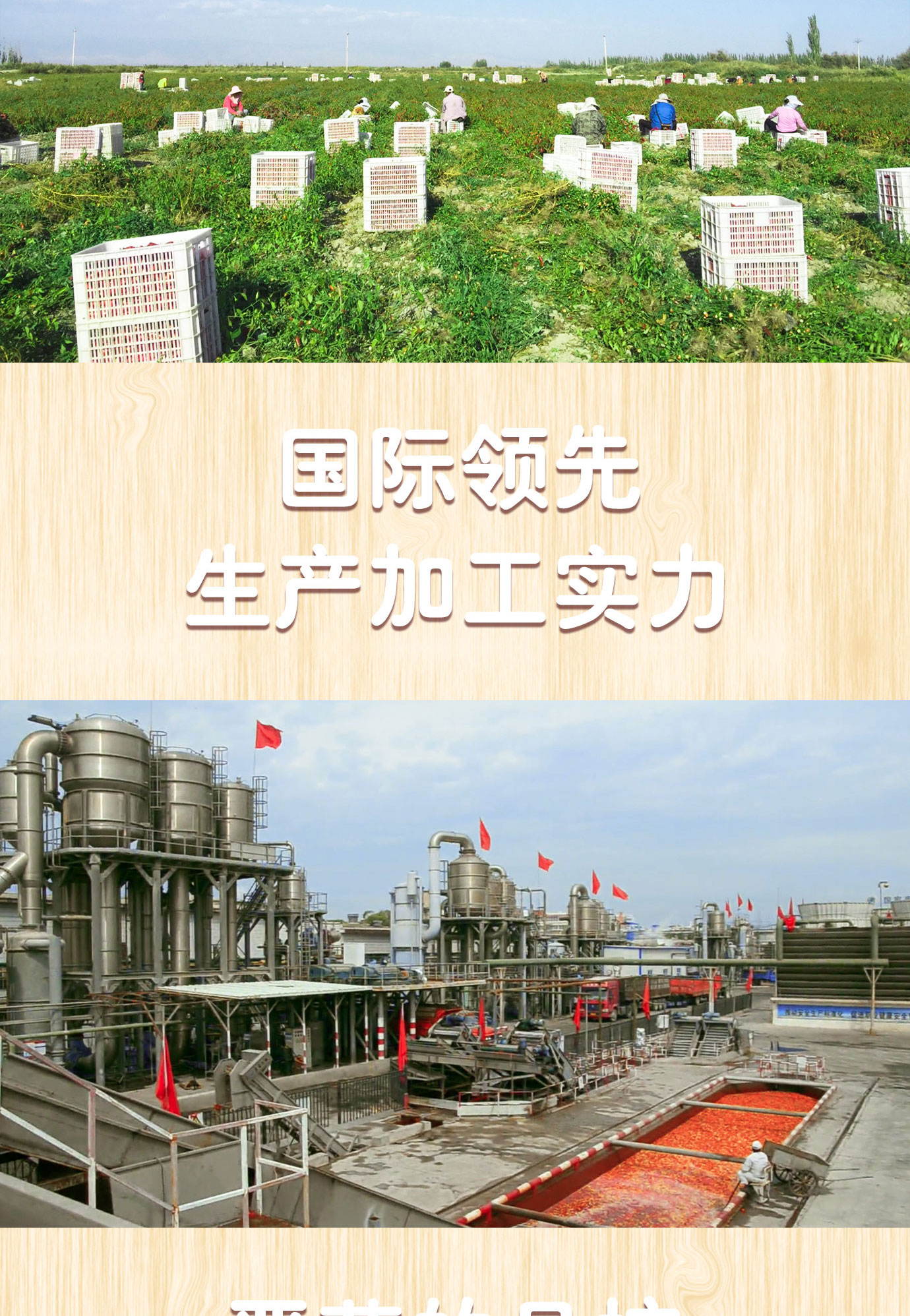 辣椒醬簡(jiǎn)介_(kāi)05.jpg