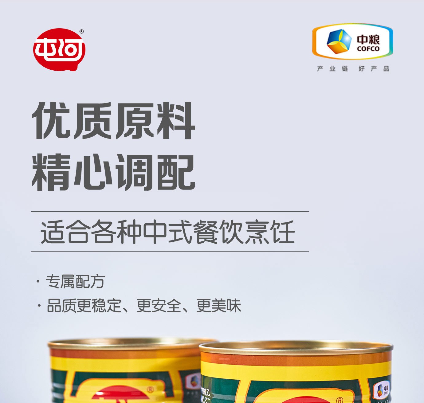 番茄調(diào)味醬1kg簡(jiǎn)介_(kāi)01.jpg