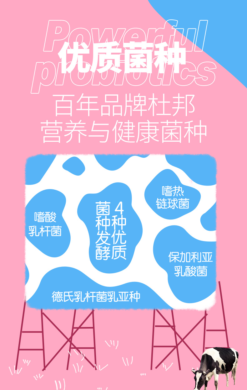 界界樂乳酸菌原味40瓶簡介7.jpeg