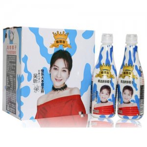 椰領(lǐng)導椰子汁1.25L