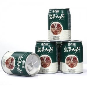 吉遠(yuǎn)堅果大咖植物蛋白飲品罐