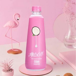 椰點(diǎn)心意椰子汁粉瓶裝450ml