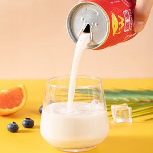 童王堅(jiān)果飲品13