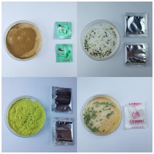新龍亞洲食品(煙臺(tái))有限公司