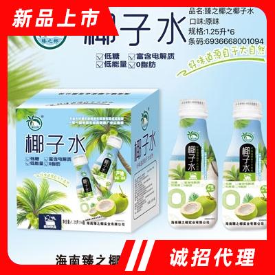 海南臻之椰實業(yè)有限公司