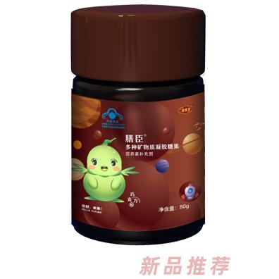 醫(yī)說堂膳臣多種礦物質凝膠糖果 80克