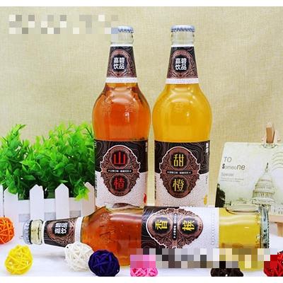 嘉碧碳酸飲料500ml