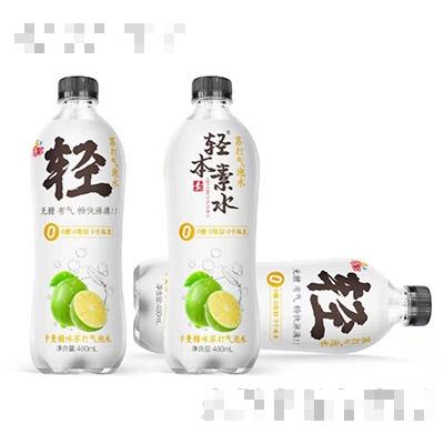 輕本素水卡曼橘味蘇打氣泡水480ml
