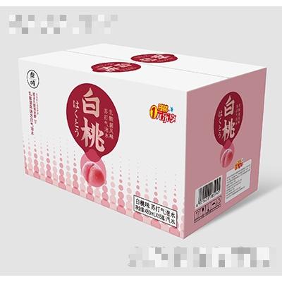 岸時(shí)白桃味蘇打氣泡水480ml×15瓶
