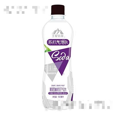王屋巖泉葡萄西柚味蘇打氣泡水500ml