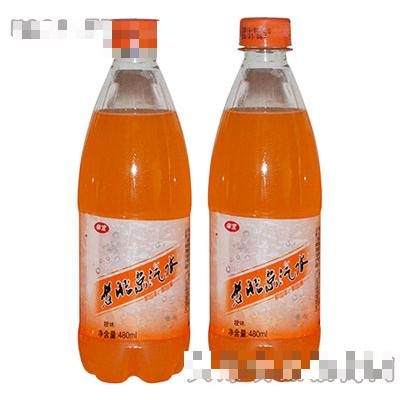 體寶老北京汽水橙子味480ml