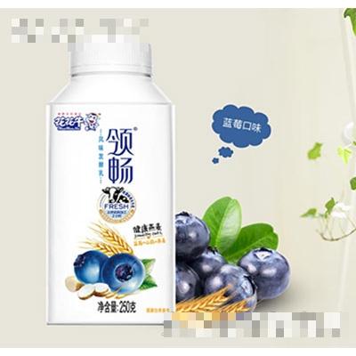 花花牛領(lǐng)暢發(fā)酵乳藍莓250g