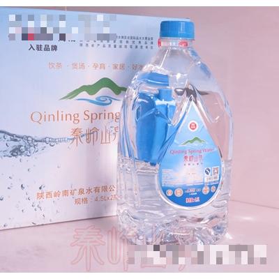 陜西嶺南礦泉水有限公司