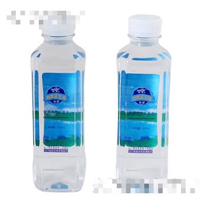 赤峰王府天然礦泉水開發(fā)有限責任公司