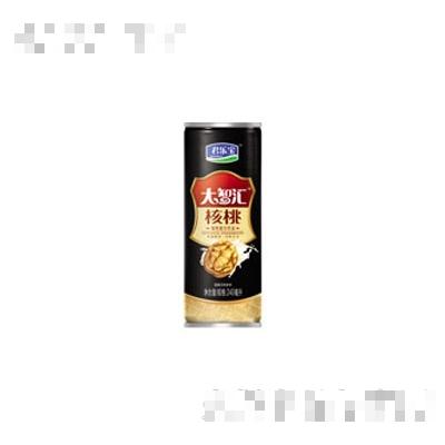 君樂寶大智匯核桃植物蛋白飲料小瓶
