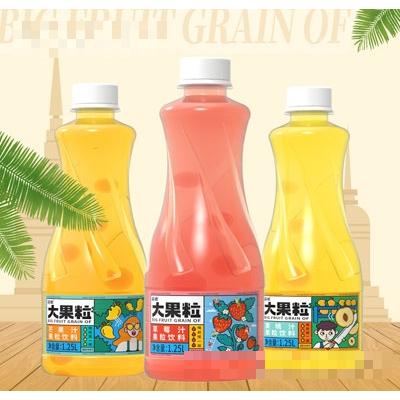 國(guó)傲大果粒果汁果粒飲料1.25L系列