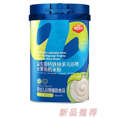 雅因樂益生菌鈣鐵鋅多元谷物水果有機米粉