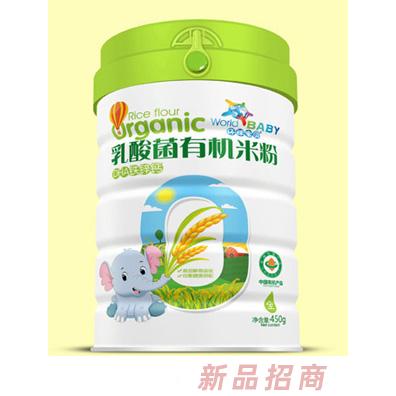 環(huán)球?qū)氊惾樗峋袡C(jī)米粉聽(tīng)裝胡蘿卜蘋(píng)果淮山薏米雙益益生元DHA鐵鋅鈣450g