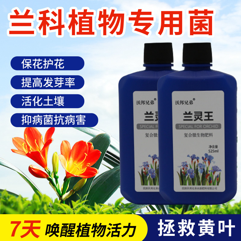 蘭靈王蘭花專(zhuān)用營(yíng)養(yǎng)液肥料