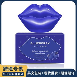 外貿(mào)跨境專供藍莓唇膜 修復淡化唇紋保濕補水唇部護理唇膜貼20片oem代加工