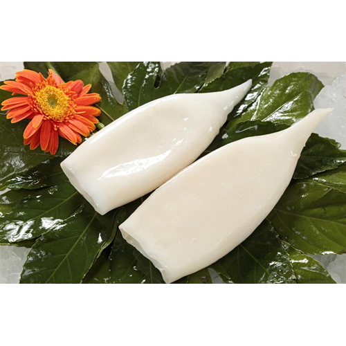 凍魷魚(yú)胴體.jpg