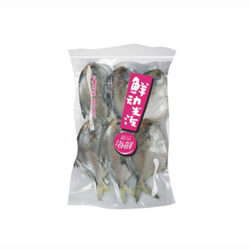 鮮動(dòng)生活白鯧魚.jpg