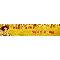 五常市北方米業(yè)有限公司